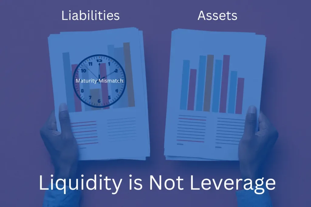 Liquidity Risk in Lending
